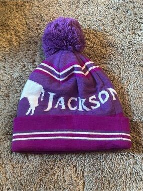 Jackson Hole, Wyoming Purple Knit Winter Beanie Hat with Pom-Pom & Bison Graphic